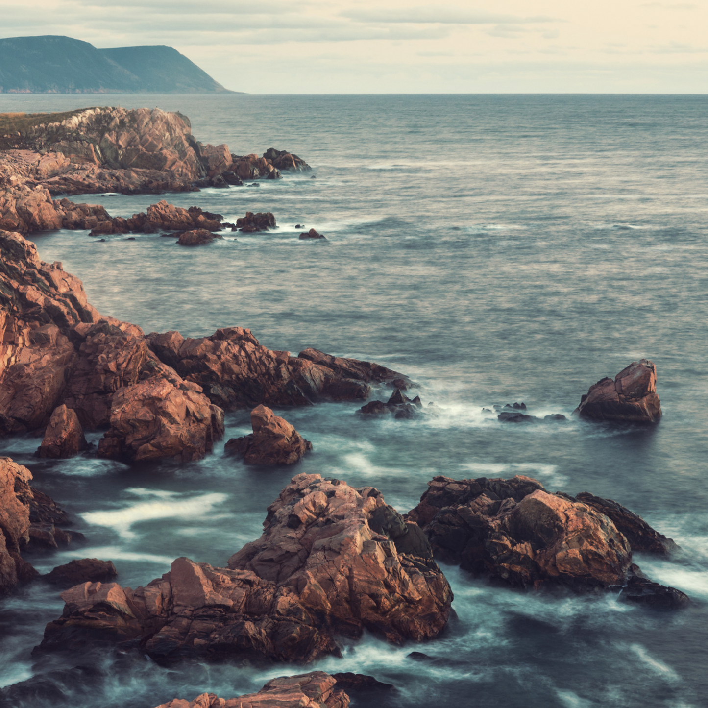 Seaweed & Juniper Wax Melt