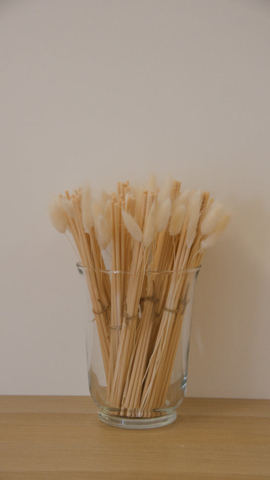 Reeds