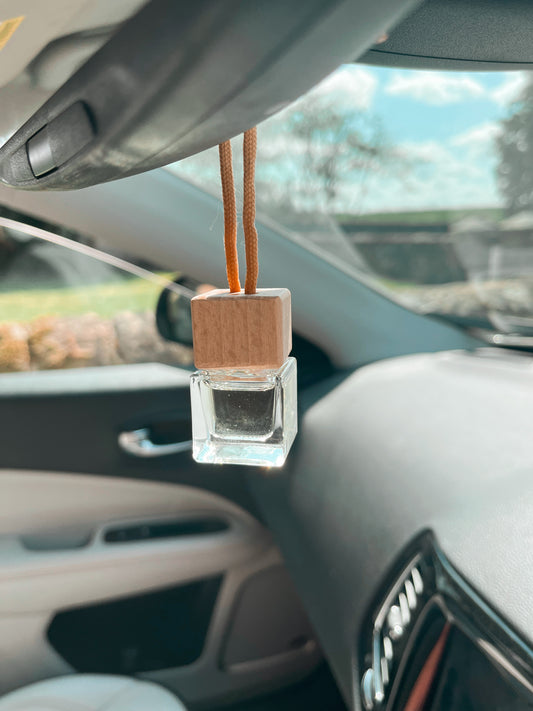 Autumnal car diffuser